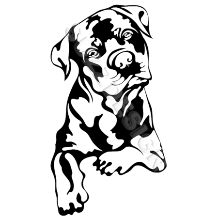 Hunddekal Rottwailer