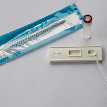 Giardia Test 3-pack