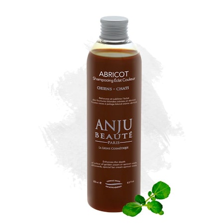 ABRICOT SCHAMPO