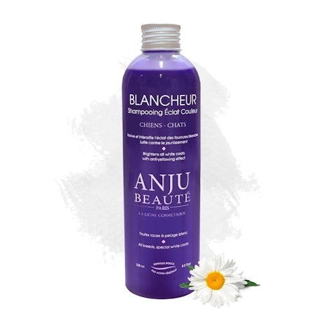 BLANCHEUR SCHAMPO