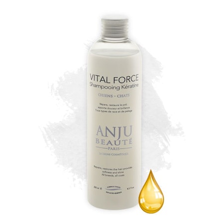 VITAL FORCE SCHAMPO