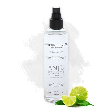SHINING LOTION SPRAY