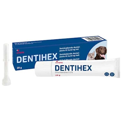 DENTIHEX Tandpasta 20 gram