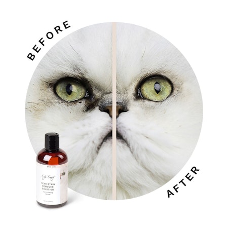 Tear Stain Remover Solution for Cats 118 ml