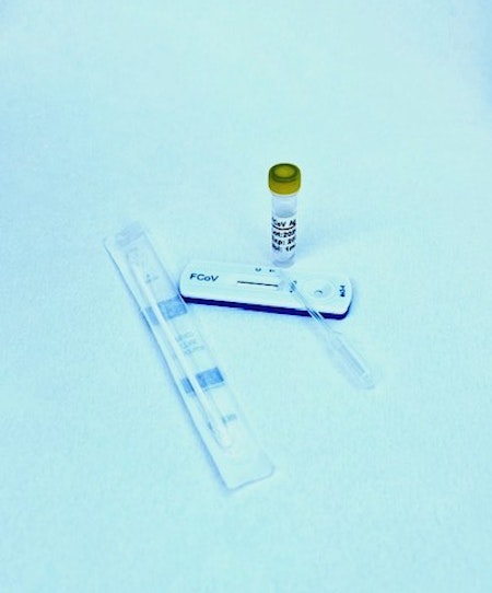 Felint Coronavirus FCoV Ag