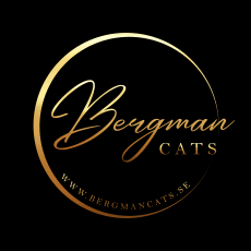 Bergman Cats