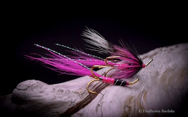 Ally's Shrimp rosa/sort treble