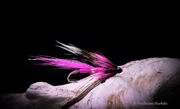 Ally's Shrimp rosa/sort tube