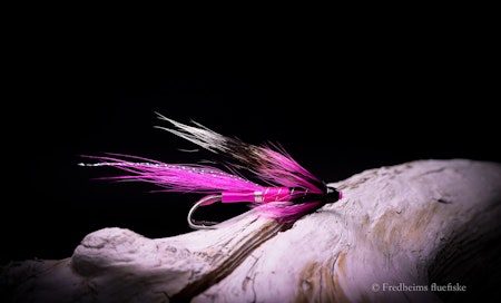 Ally's Shrimp rosa/sort tube