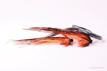 Phatakorva Flash Wing