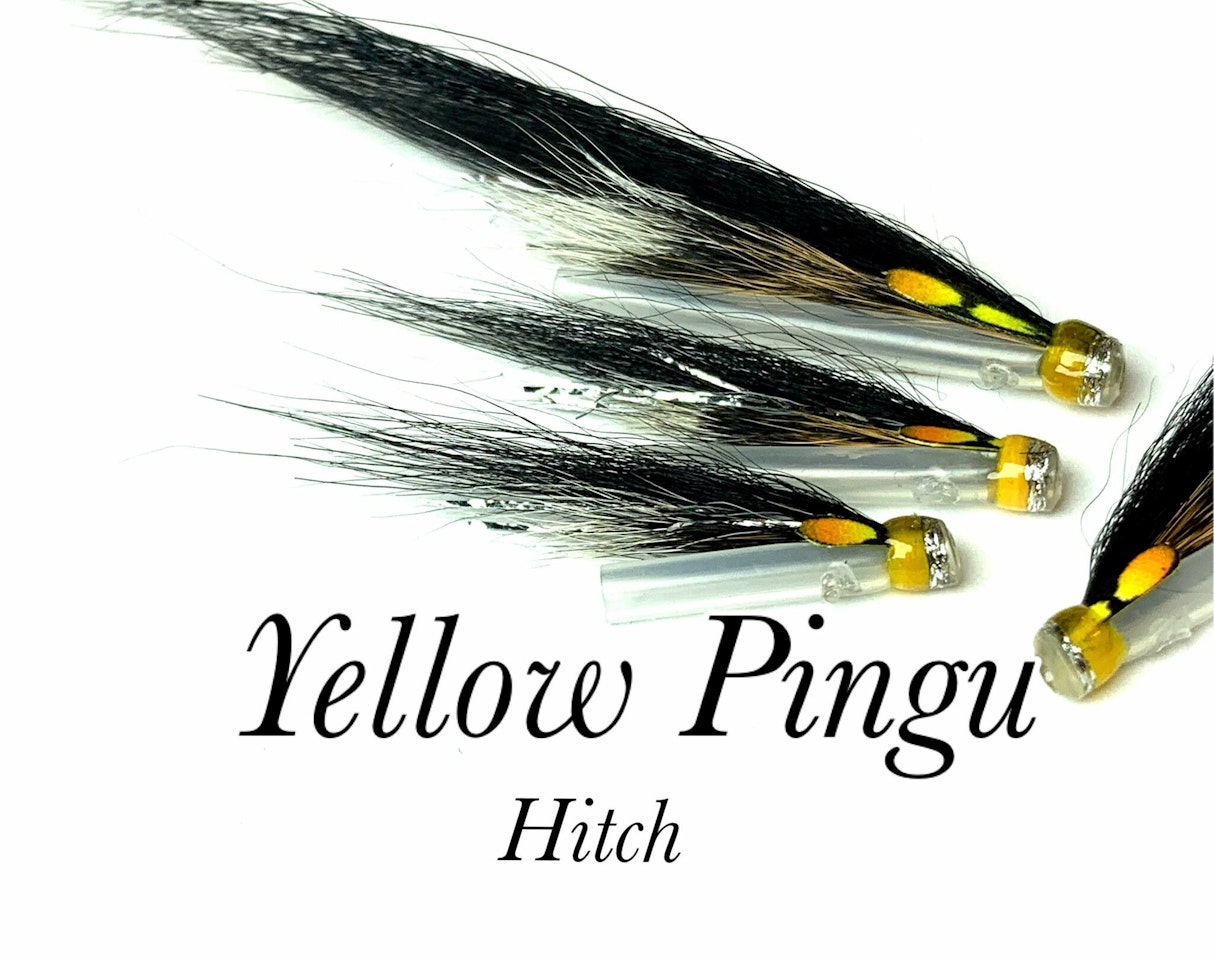 YELLOW PINGU - 3 pakning
