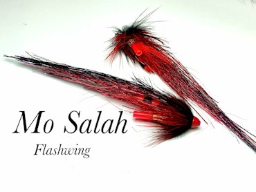 Mo Salah - Flash wing