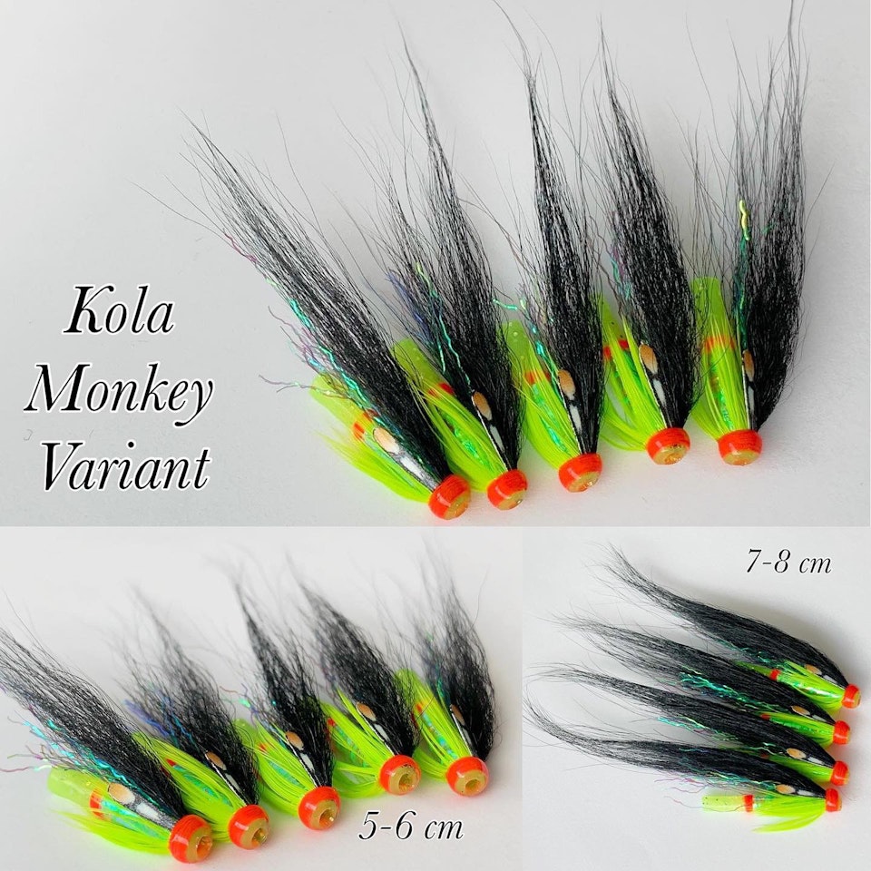 Kola Monkey - variant
