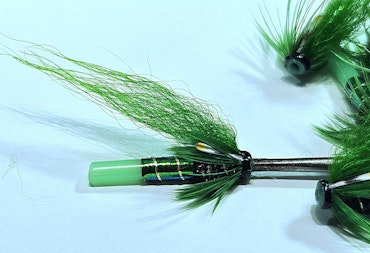 Small peacock and green