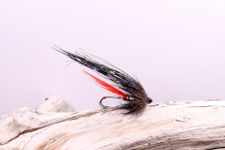 "Red Butt" variant - Flash wing
