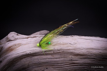 Chartreuse - Flash wing