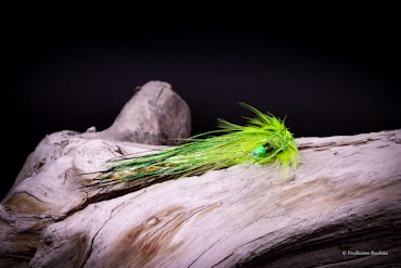 Chartreuse - Flash wing