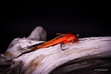 Orange - Flash Wing