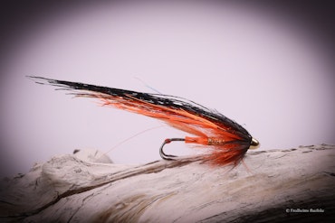 Orange - Flash Wing