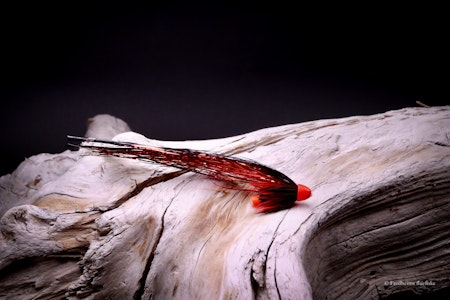 Red and black - Flash wing