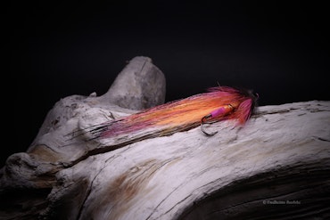 In Flames - Flash Wing