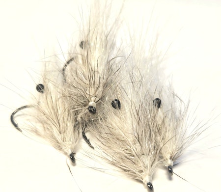 White Ghost Shrimp