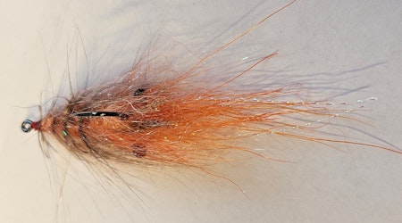 Orange and salmon ghost shrimp
