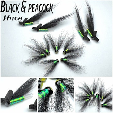 Black Peacock - Hitch