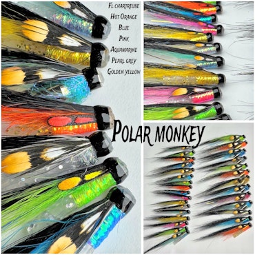 POLAR MONKEY