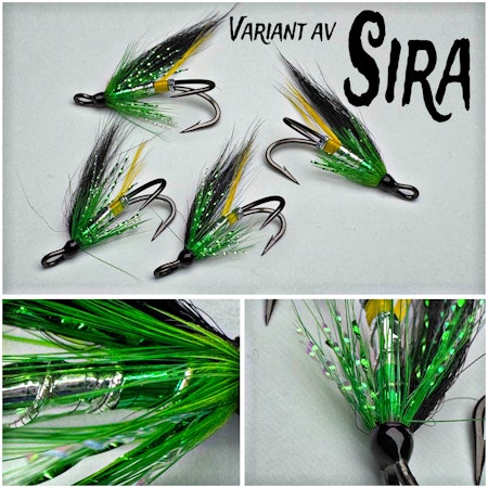 SIRA ~ variant