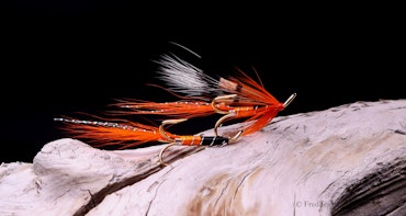 Ally's Shrimp treble krok