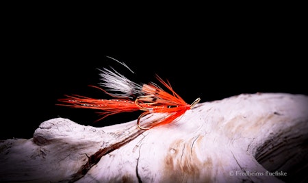 Ally's Shrimp treble krok