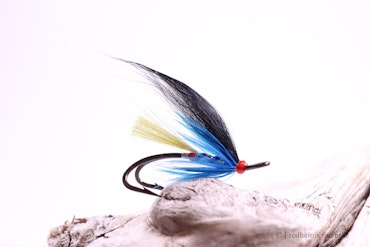 Laggo flua