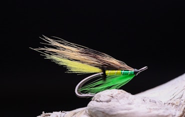 Green Highlander variant