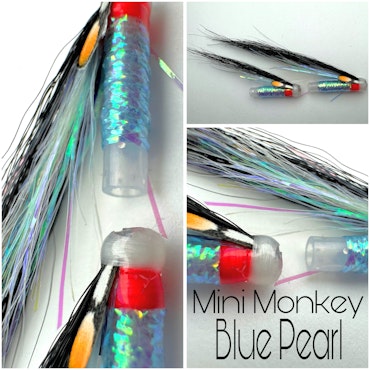 Blue Pearl - minimonkey