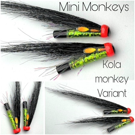 Kola Monkey - variant