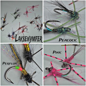 - LAKSENYMFER -