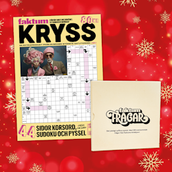 Nyhet! Julklappserbjudande