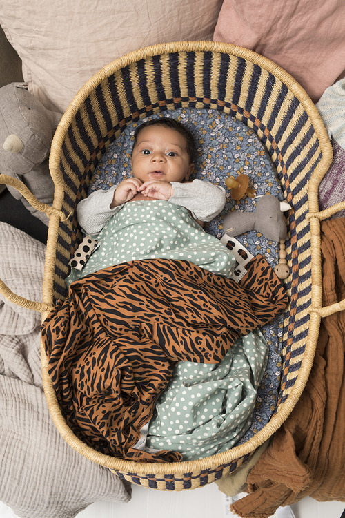 Coracor Zebra Terracotta Baby blanket