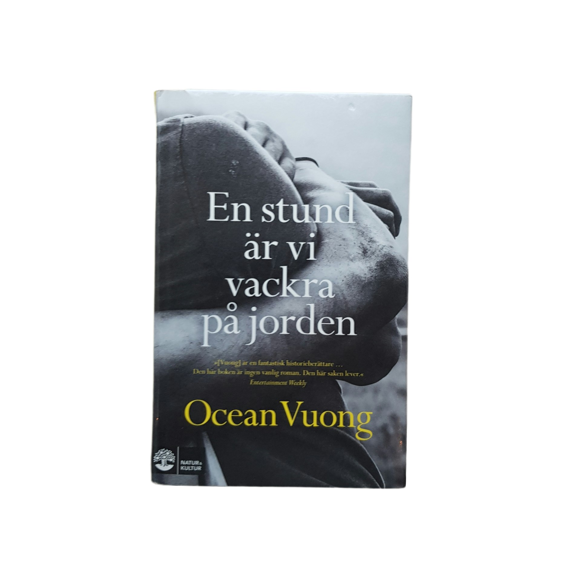 En stund är vi vackra på jorden, inbunden bok