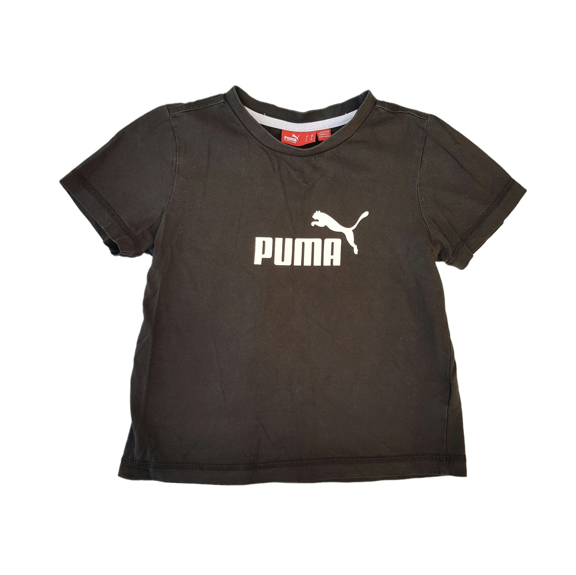 Storlek 116, Puma