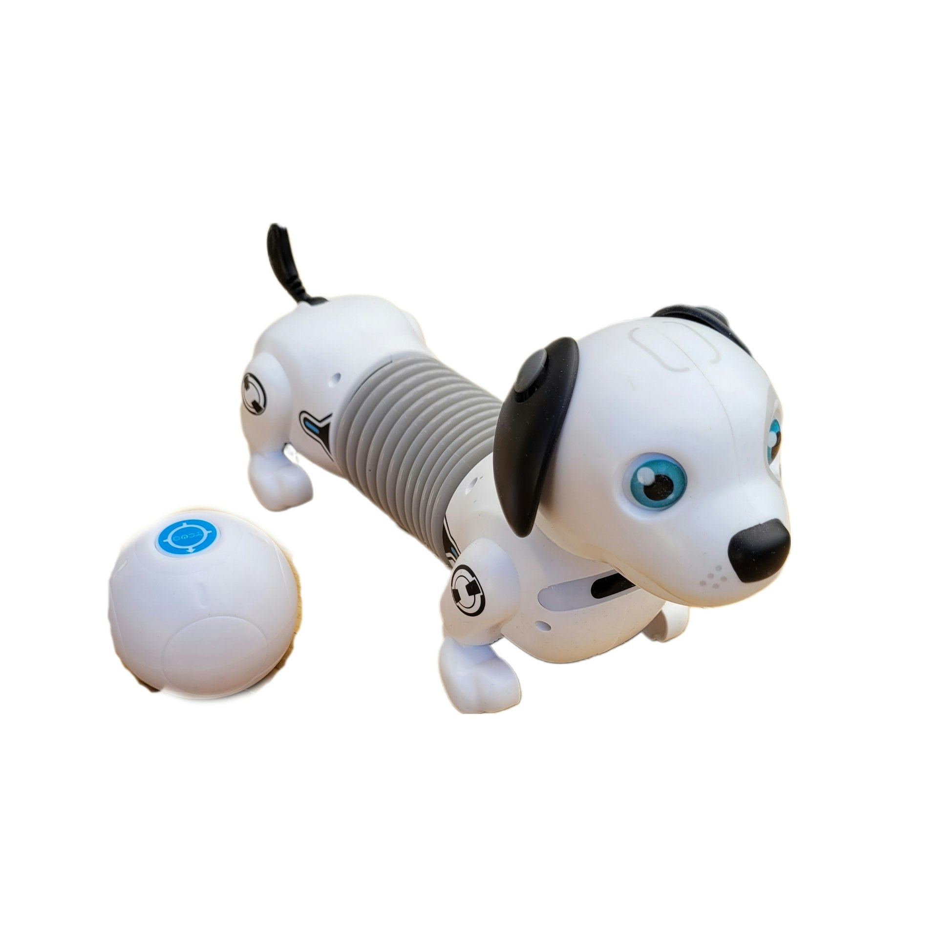 Robothund