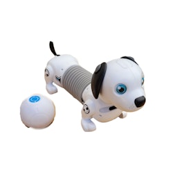 Robothund
