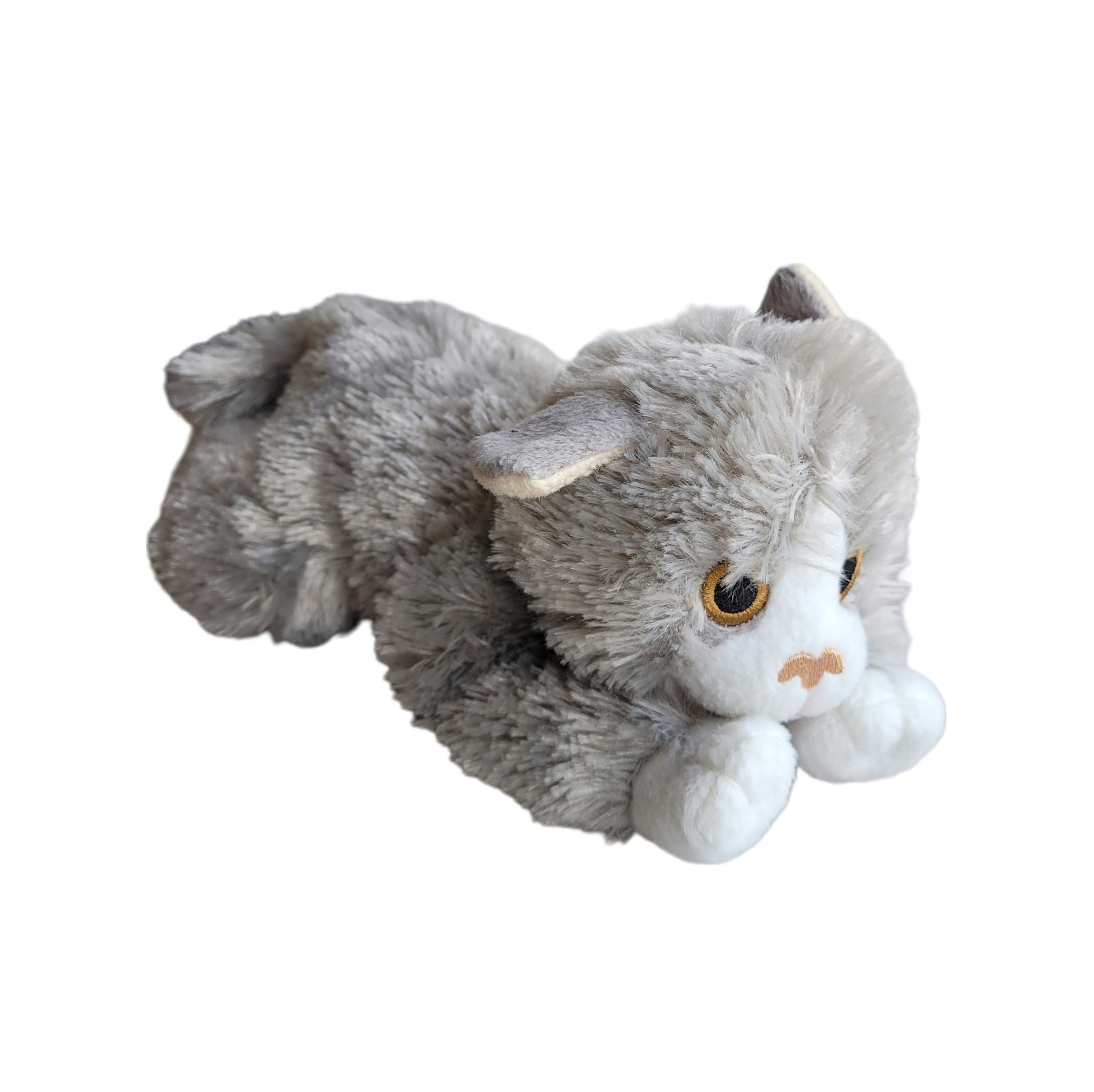 Katt, Biltema