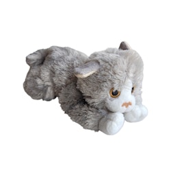 Katt, Biltema