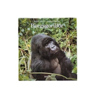 Bergsgorillor, skick B