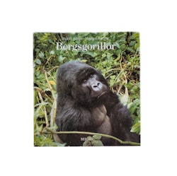 Bergsgorillor, skick B