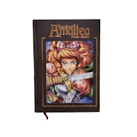 Sword princess Amaltea, skick B