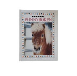 Första ponnyboken, skick B