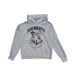 Storlek 158/164, Harry Potter, skick B